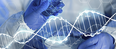 높은 약물 흡착